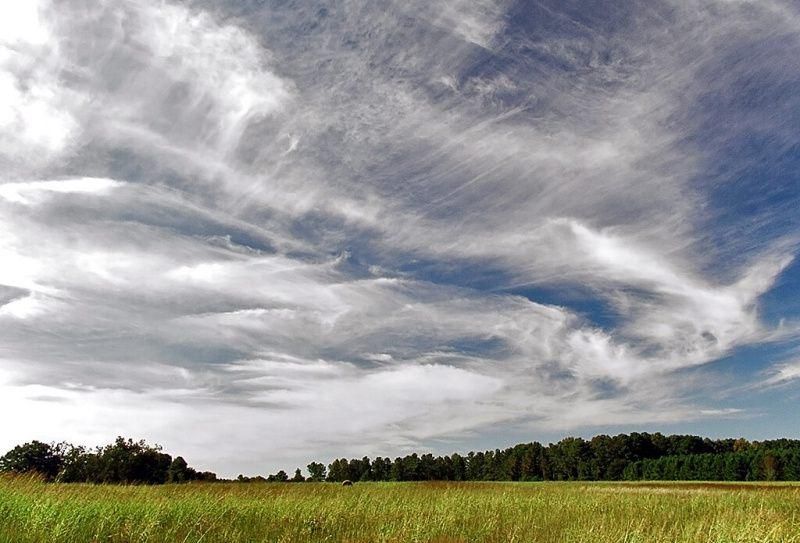 gambar awan cirrus (commons.m.wikimedia.org/PiccoloNamek)