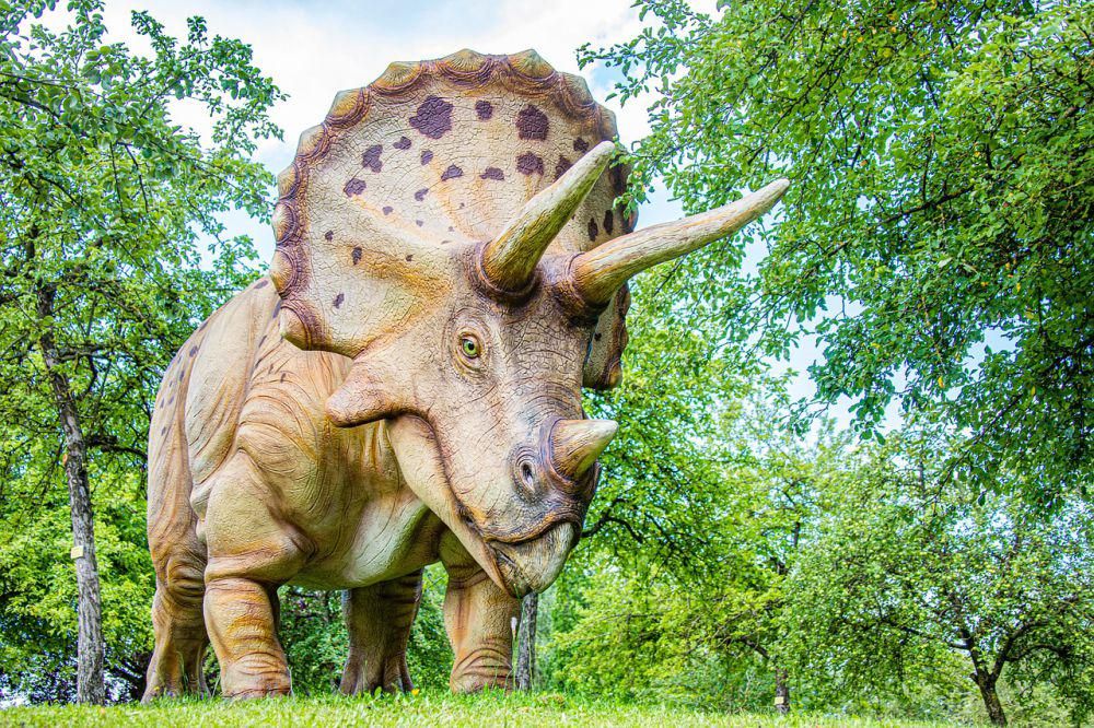 ilustrasi seekor Triceratops (pixabay.com/Kollinger)