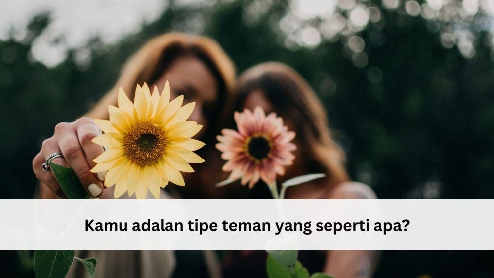 Kuis