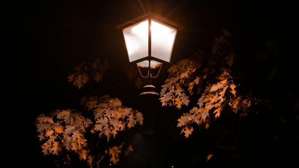 Potret lampu kota (unsplash.com/Edoardo Botez)