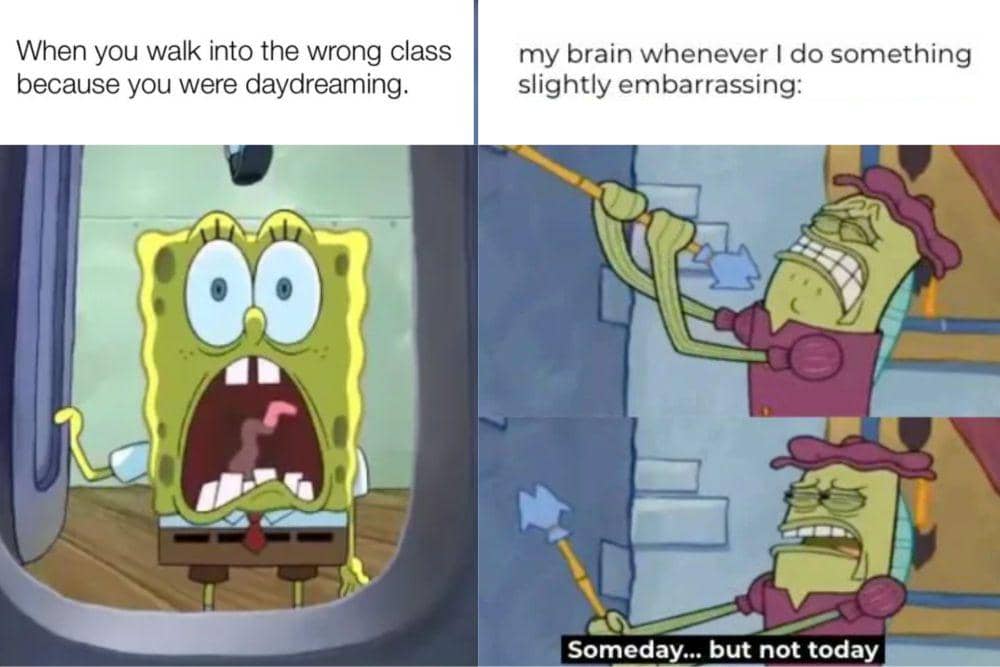 Hal Subplot Meme 7 Meme SpongeBob tentang Hal yang Bikin Malu | IDN Times