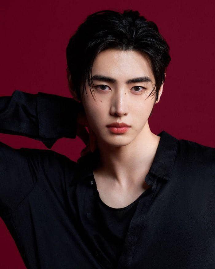 Sunghoon ENHYPEN Resmi Jadi Brand Ambassador L'Oreal Paris