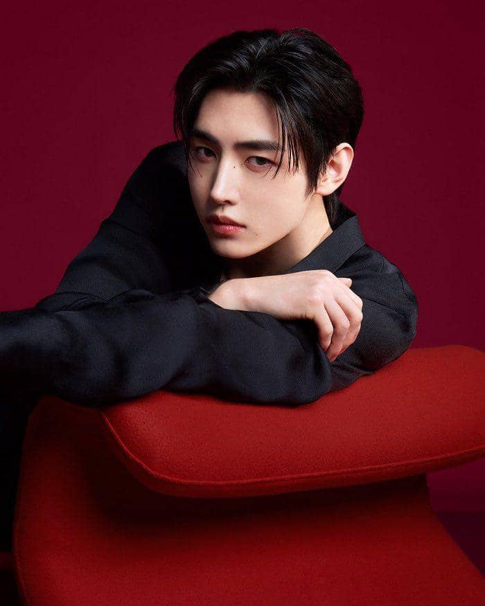 dok. L'Orèal Paris Korea