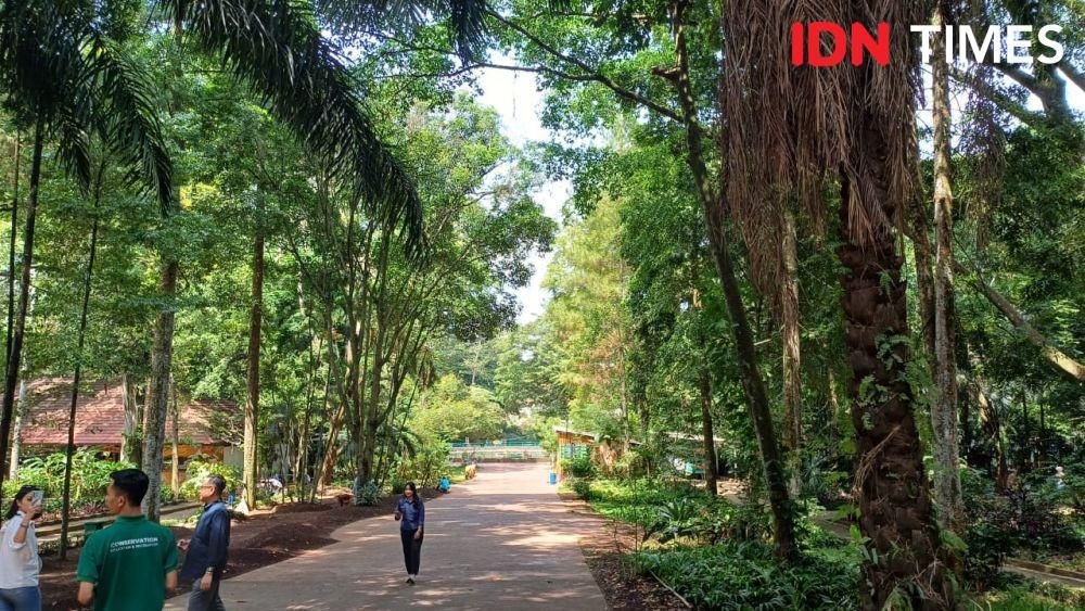 Potret suasana di Bandung Zoo (IDN Times/Dhiya Awlia Azzahra)