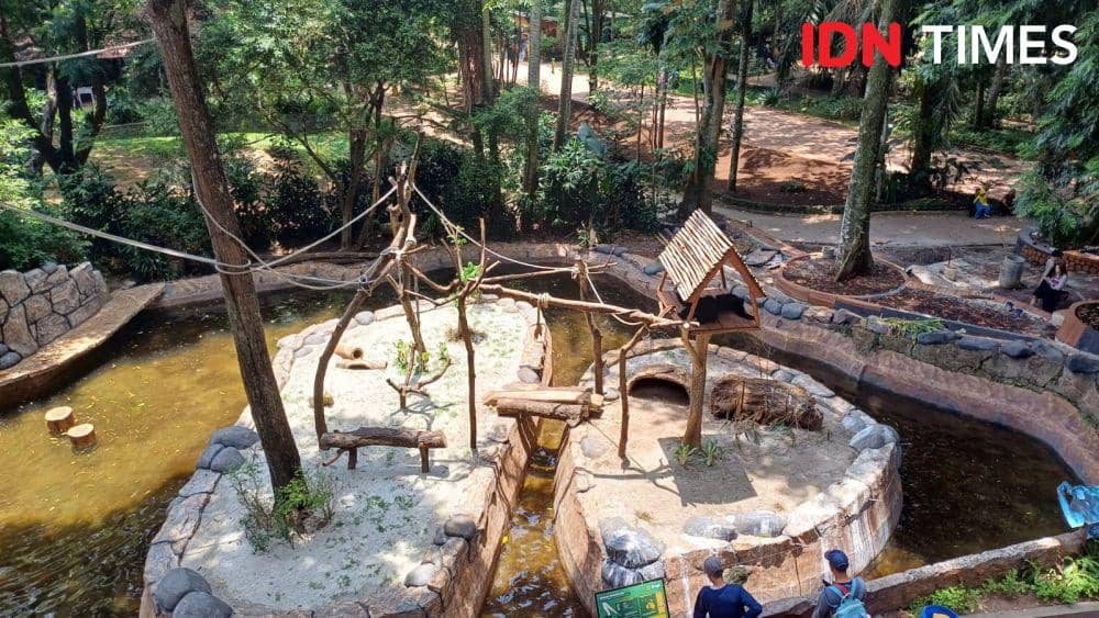 Potret suasana di dalam Bandung Zoo, Bandung (IDN Times/Dhiya Awlia Azzahra)