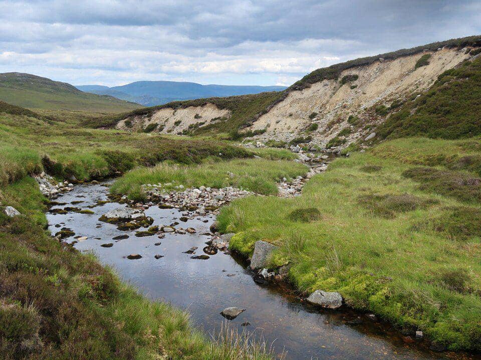 ilustrasi alam (wikimedia.org/wrobison)