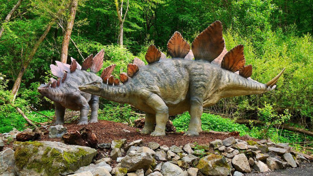 model Stegosaurus (commons.wikimedia.org/DinoTeam)