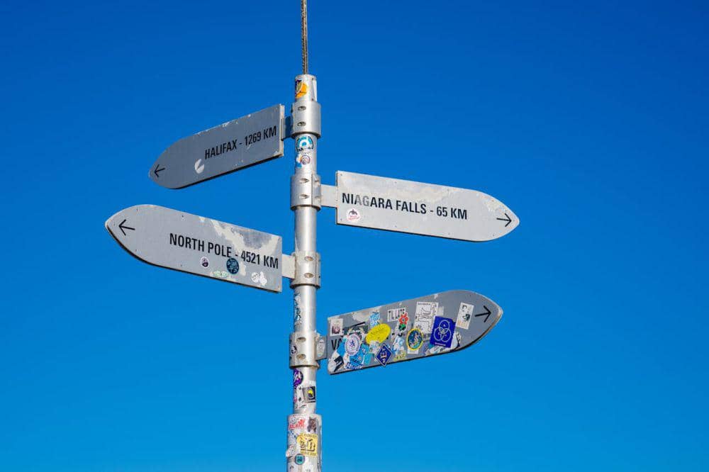 Ilustrasi Pilihan/pexels.com/Héctor Berganza