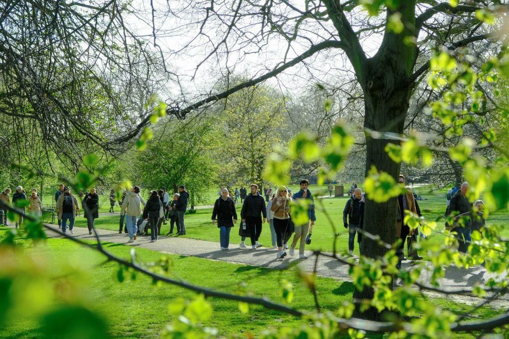 Apa Itu Brisk Walking dan Mengapa Baik untuk Kesehatan?