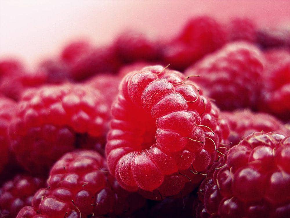 ilustrasi raspberry (Pexels.com/Pixabay)