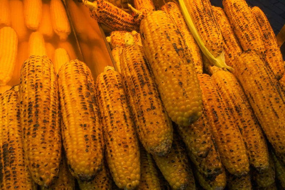 ilustrasi jagung bakar susu (pexels.com/Nazar Aslan)