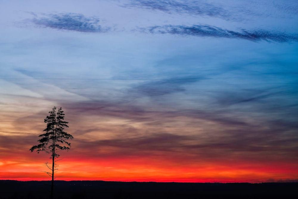 ilustrasi senja (pexels.com/Damir K.)