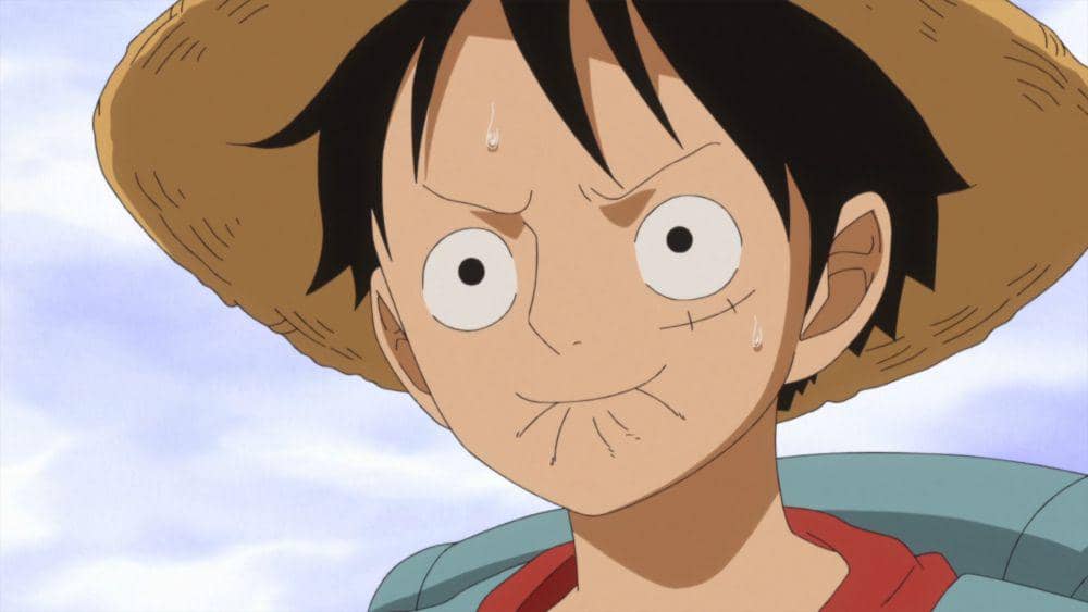Monkey D Luffy (dok. Toei Animation/One Piece)