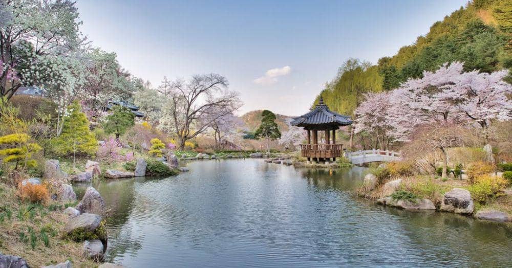 Potret The Garden of Morning Calm (instagram.com/morningcalm_garden)