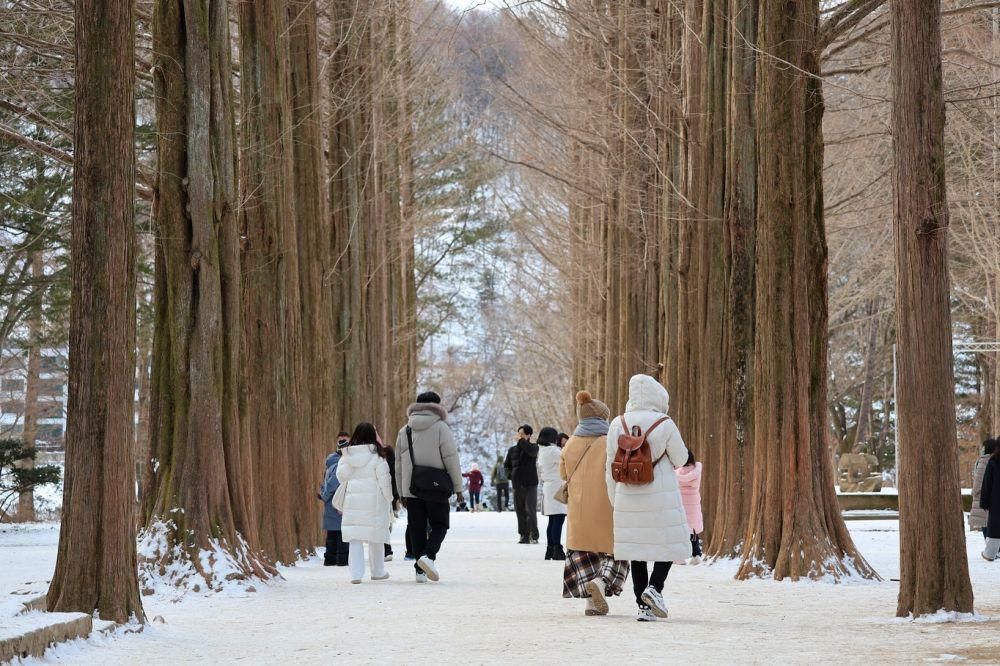 Potret keindahan Nami Island (iinstagram.com/namiisland_naminara)