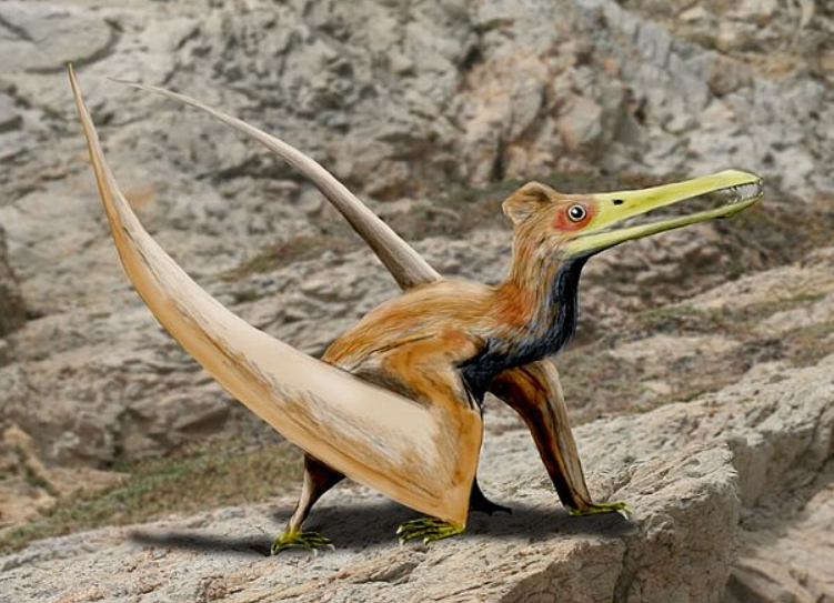 ilustrasi Pterosaurus (commons.wikimedia.org/Nobu Tamura)