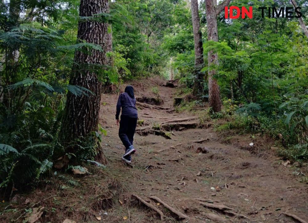 7 Gunung Tertinggi di Jawa Barat yang Jadi Favorit Pendaki