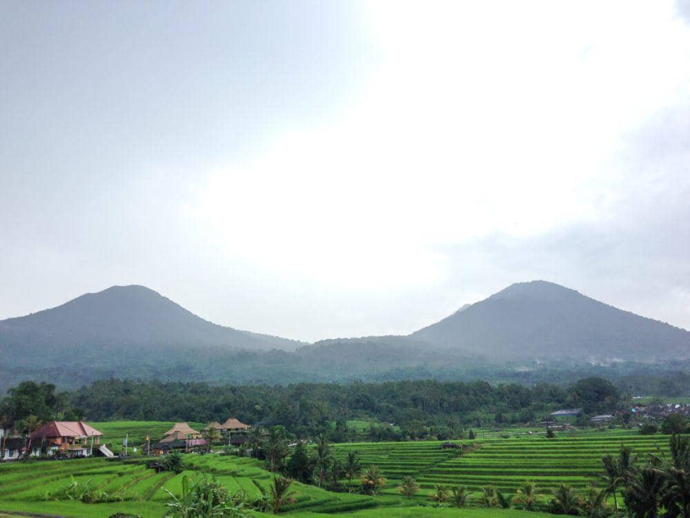 pemandangan ikonik di Jatiluwih (dok.pribadi/Natalia Indah)