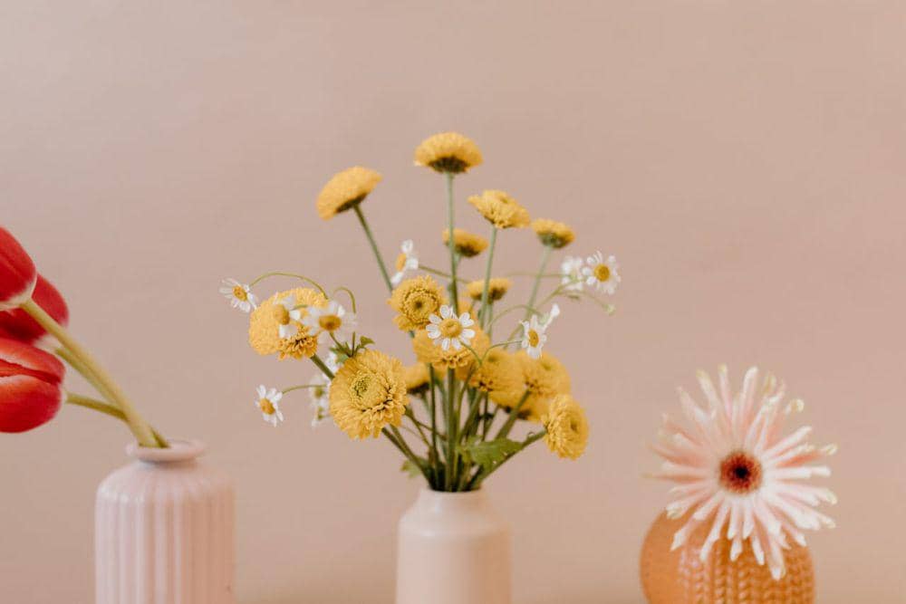 ilustrasi bunga krisan kuning (pexels.com/Tara Winstead)