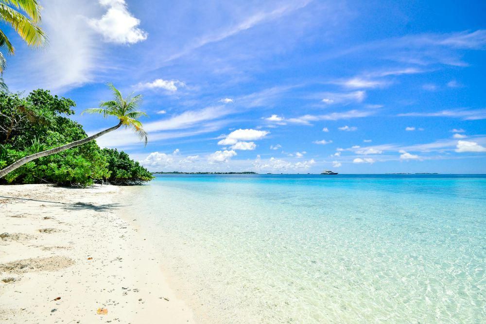 ilustrasi laut (pexels.com/ Asad Photo Maldives)