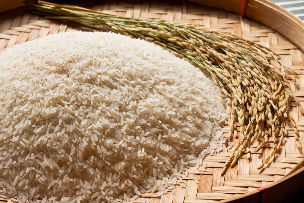 Harga Beras di Bali 19 Juni 2025 dan Pangan Lainnya