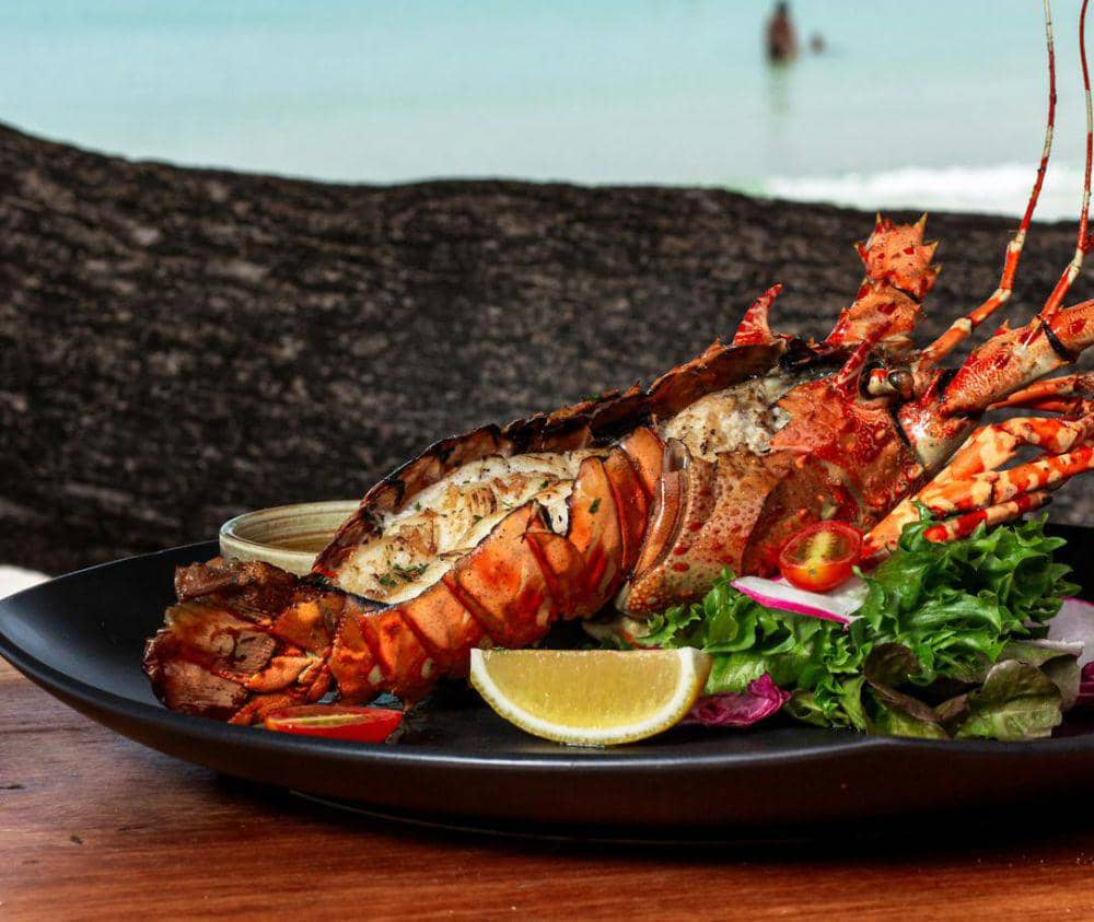 ilustrasi lobster panggang (pexels.com/Augustinus Martinus Noppé)