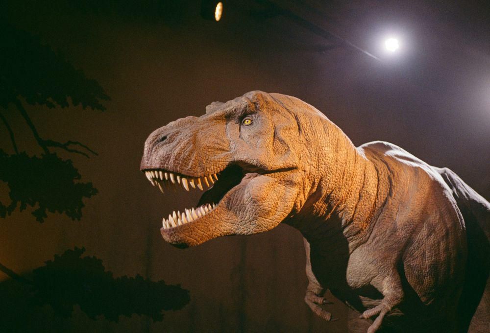 Dinosaurus T-rex (sumber: Unsplash.com)