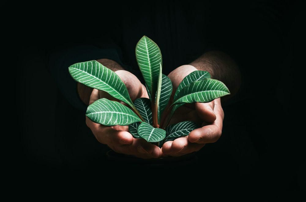5 Langkah Eco Friendly yang Bisa Kamu Mulai Hari Ini, Coba, yuk!