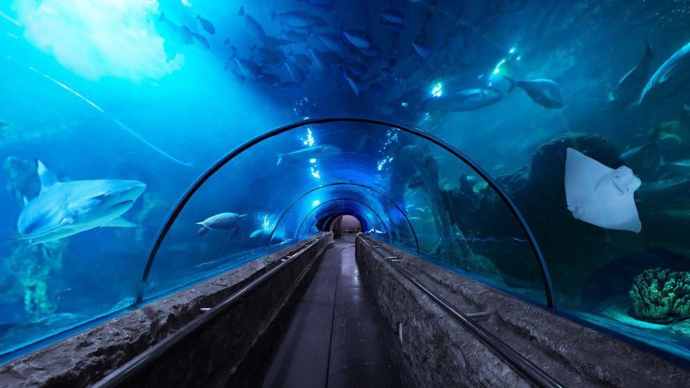 Sea World Ancol, Jakarta (ancol.com)