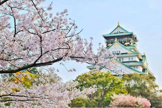 Potret Osaka Castle saat musim semi (pexels.com/Bagus Pangestu)