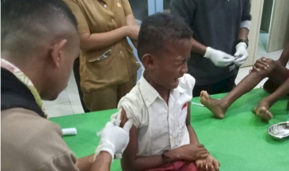 Wabah Rabies di NTT Tewaskan 91 Orang, Menyebar Timor Leste | IDN Times NTB