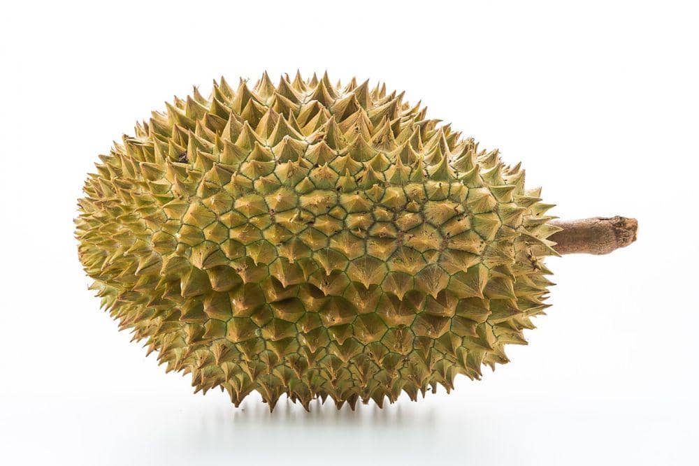 ilustrasi durian (freepik.com/mrsiraphol)
