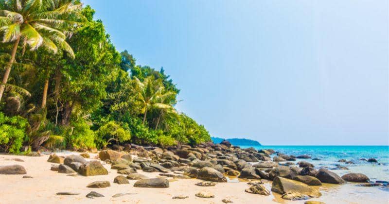 13 Tempat Wisata Cilacap yang Cocok untuk Liburan Keluarga | Popmama.com