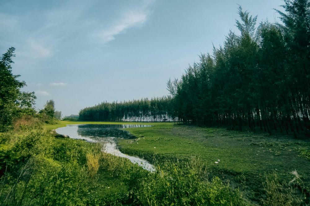 ilustrasi alam yang bersih (unsplash.com/@minhaz217)