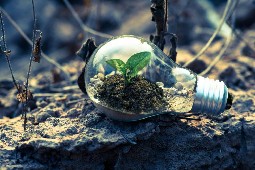 Pena Petrofin Awards 2025 Digelar Tahun Ini, Berikut Persyaratannya