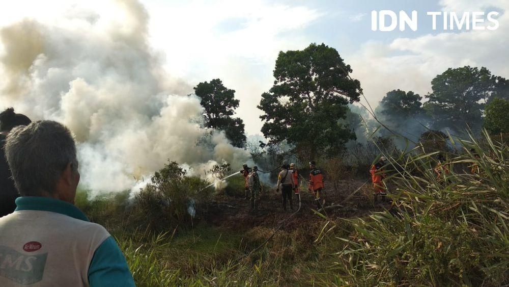 Selama 2025, 1.800 Hektare Hutan di Sekitar Danau Toba Terbakar