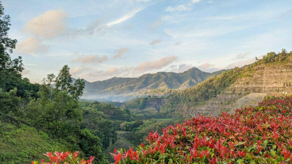 ilustrasi gambar pemandangan alam (unsplash.com)