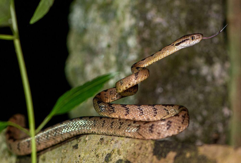 Ona, dadam va qizning jinsiy aloqasini onlayn tomosha qiling.