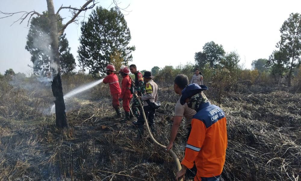 25 Hektar Lahan di Ogan Ilir Terbakar, Diduga Sengaja untuk Berkebun