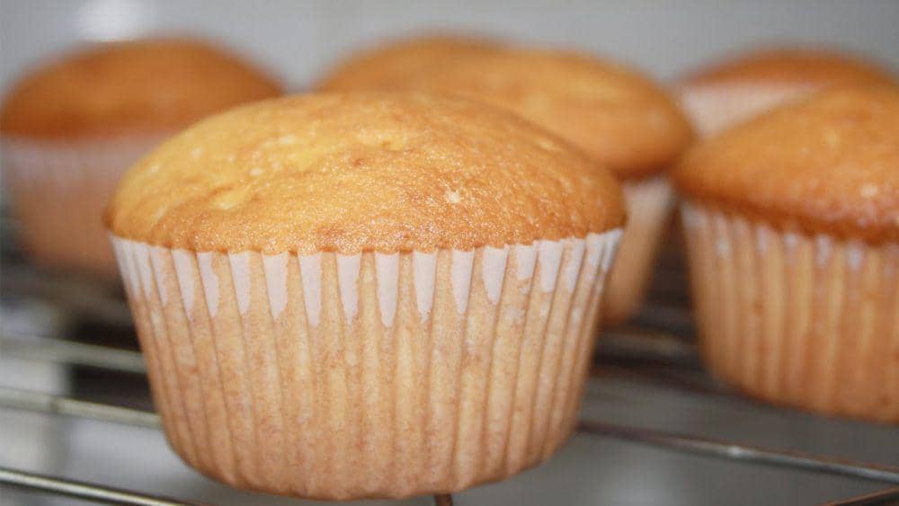 ilustrasi cupcake tahu keju (youtube.com/The cookbook)