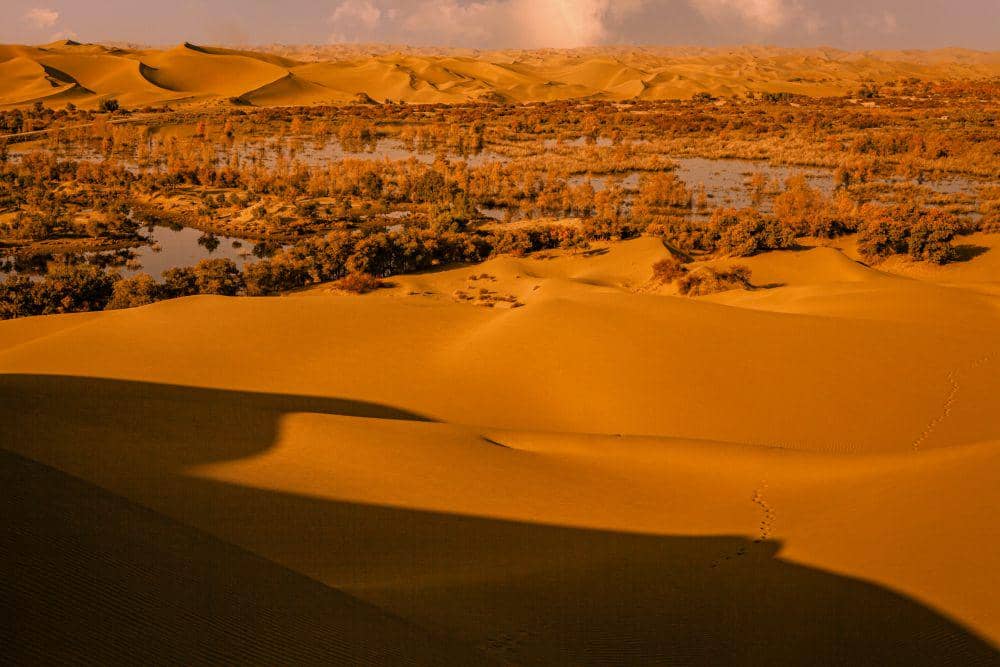 ilustrasi Gurun Sahara (unsplash.com/光曦 刘)