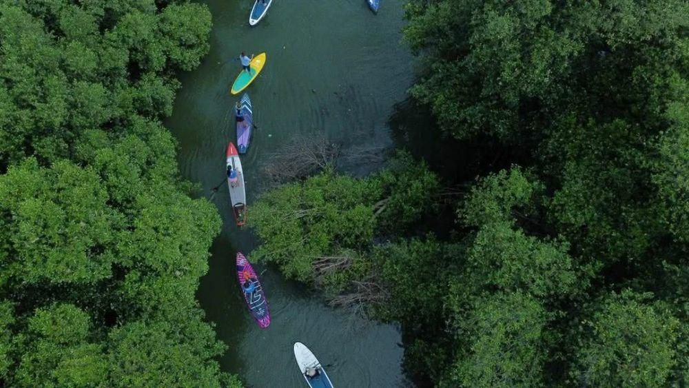 Taman Wisata Alam Angke Kapuk (instagram.com/TWA Mangrove Angke Kapuk)