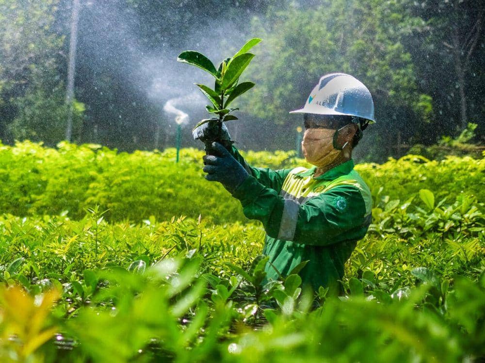 10 Cara Inovatif PT Vale Bungkam Anggapan Tambang Rusak Alam | IDN Times
