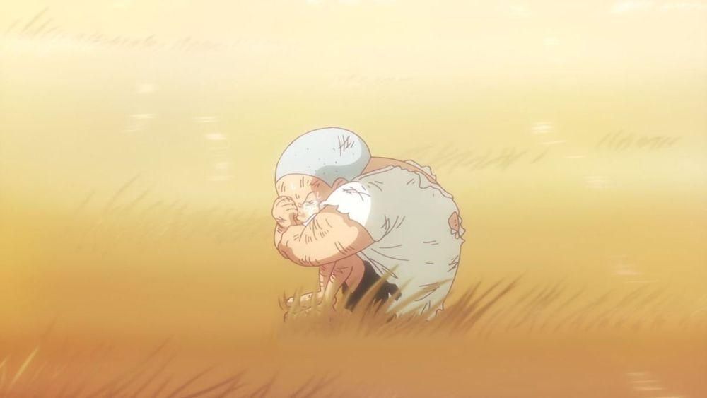 16 Kisah dan Momen Sedih yang ada di One Piece, Bikin Nangis!