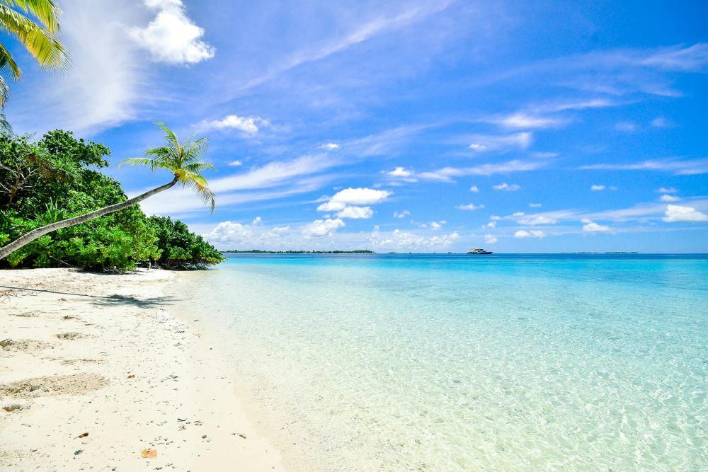 Kenapa Pasir Pantai Ada yang Warna Hitam dan Putih?