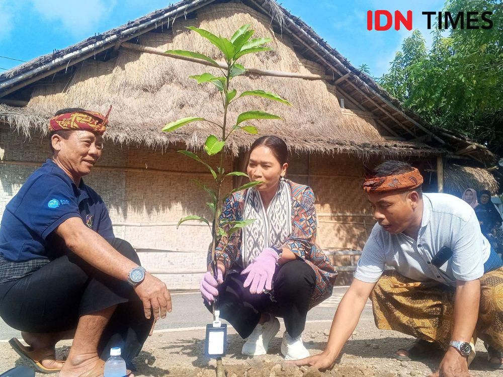 Wakil Menteri Pariwisata Ni Luh Enik Ermawati menanam pohon di Desa Wisata Adat Sade Lombok Tengah yang dijadikan pilot project eco village, Jumat (23/5/2025). (IDN Times/Muhammad Nasir)