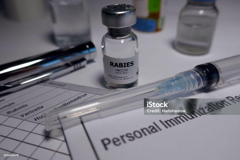6 Puskesmas di Bandar Lampung jadi Rujukan Kasus Gigitan Hewan Rabies