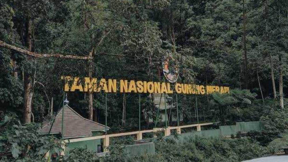 Lagi, TNGM Tangkap 2 Pendaki Ilegal di Gunung Merapi