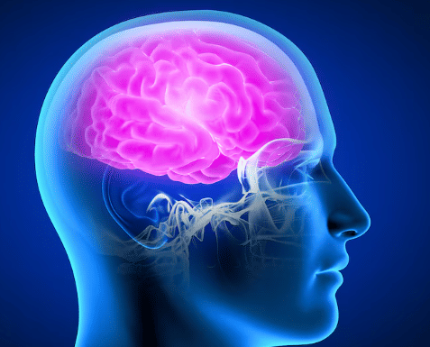 ilustrasi otak manusia (freepik.com/tira)