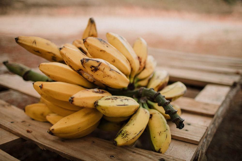 Potret buah pisang matang (pexels.com/Luis Quintero)